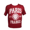 Paris 1889 Varsity T-Shirt