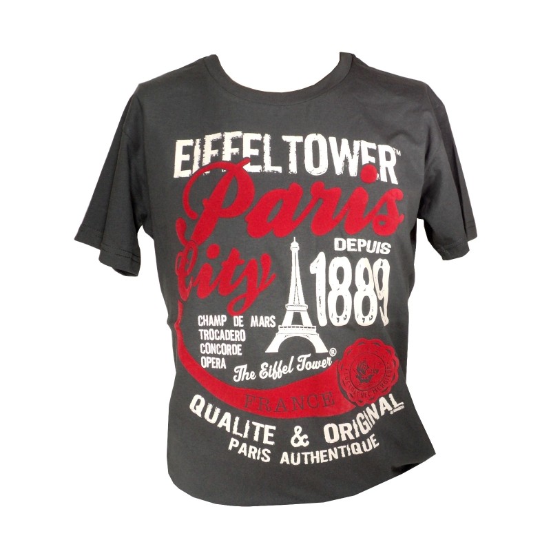 Paris City Adult T-Shirt