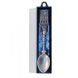 Notre-Dame de Paris collector's spoon