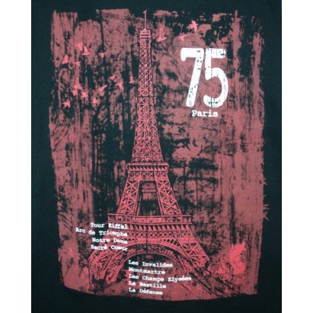 Eiffel Tower 75 T-Shirt
