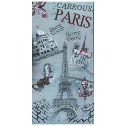 Paris Carousel Magnet
