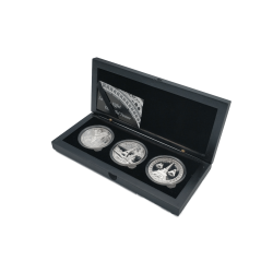 Eiffel Tower Silver Box Set