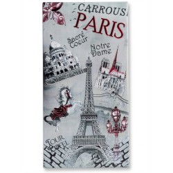 Paris Carousel Magnet