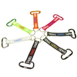 Carabiner key ring