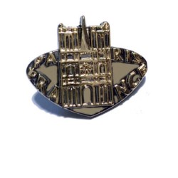 Notre-dame de Paris pin